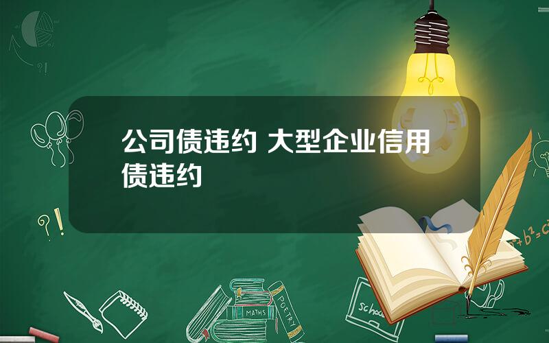 公司债违约 大型企业信用债违约